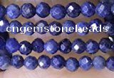 CTG1448 15.5 inches 2mm faceted round sapphire beads wholesale