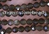 CTG1461 15.5 inches 2mm faceted round golden obsidian beads