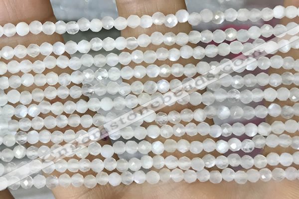 CTG1480 15.5 inches 3mm faceted round white moonstone beads