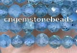 CTG1497 15.5 inches 3mm faceted round apatite beads wholesale