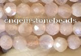 CTG1502 15.5 inches 3mm faceted round moonstone beads wholesale