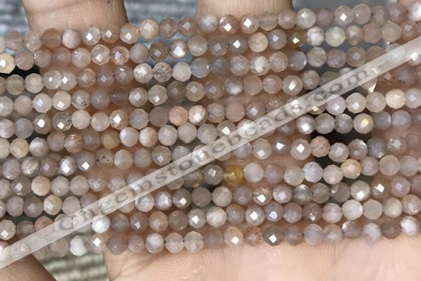 CTG1503 15.5 inches 3mm faceted round moonstone gemstone beads