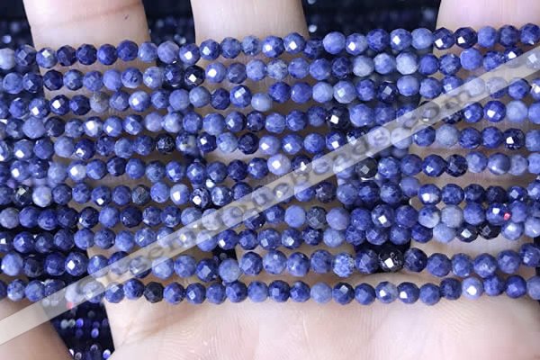 CTG1518 15.5 inches 3mm faceted round sapphire gemstone beads