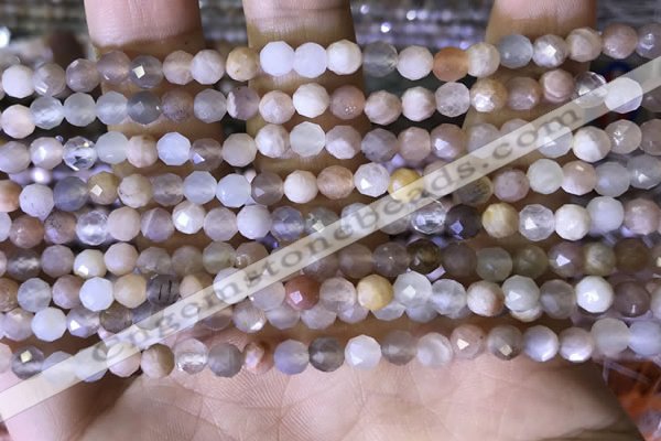 CTG1550 15.5 inches 4mm faceted round moonstone beads wholesale