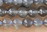 CTG1582 15.5 inches 4mm round grey moonstone beads wholesale