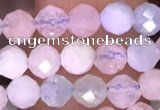 CTG1606 15.5 inches 4mm faceted round tiny morganite beads