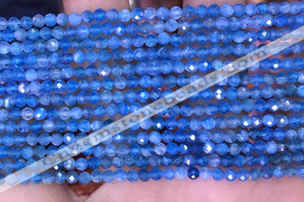 CTG1613 15.5 inches 3mm faceted round tiny apatite beads