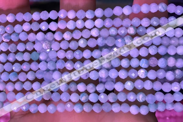 CTG1626 15.5 inches 3.5mm faceted round tiny amazonite beads