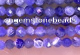 CTG1665 15.5 inches 2mm faceted round tiny sodalite beads
