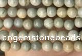 CTG2003 15 inches 2mm,3mm silver leaf jasper beads