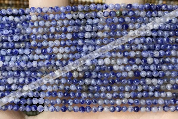 CTG2017 15 inches 2mm,3mm sodalite gemstone beads