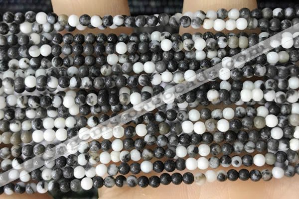 CTG2026 15 inches 2mm,3mm black & white jasper beads