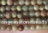 CTG2045 15 inches 2mm,3mm China unakite beads