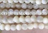 CTG2049 15 inches 2mm,3mm mother of pearl beads