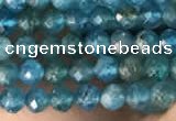 CTG2130 15 inches 2mm,3mm faceted round apatite gemstone beads