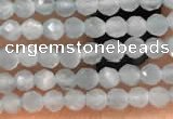 CTG2145 15 inches 2mm,3mm faceted round aquamarine gemstone beads