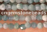 CTG2154 15 inches 2mm,3mm faceted round amazonite gemstone beads