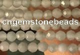 CTG2155 15 inches 2mm,3mm faceted round amazonite gemstone beads