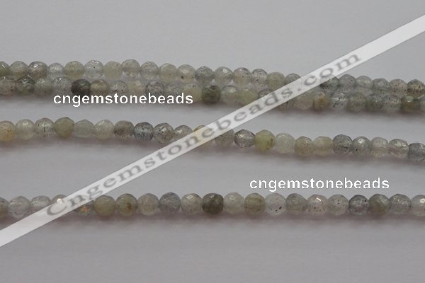 CTG217 15.5 inches 3mm faceted round tiny labradorite beads