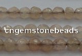 CTG218 15.5 inches 3mm faceted round tiny moonstone beads