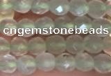 CTG2205 15 inches 2mm,3mm faceted round prehnite gemstone beads