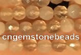 CTG2209 15 inches 2mm,3mm faceted round botswana agate beads