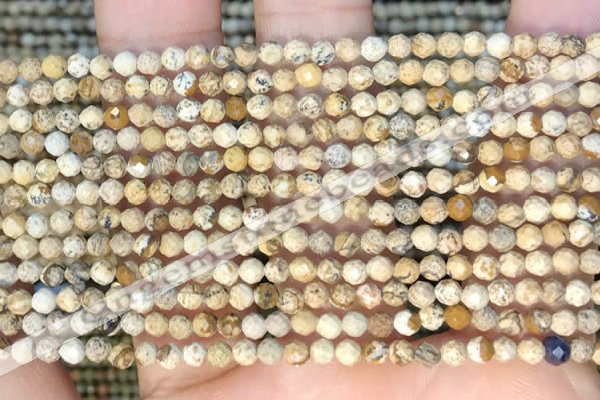 CTG2213 15 inches 2mm,3mm faceted round picture jasper beads