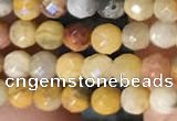 CTG2219 15 inches 2mm,3mm faceted round crazy lace agate beads