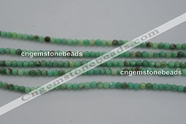 CTG225 15.5 inches 3mm faceted round tiny grass agate beads