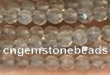 CTG2255 15 inches 2mm faceted round grey agate beads