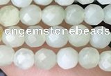 CTG2516 15.5 inches 4mm faceted round jade beads wholesale