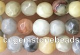 CTG2536 15.5 inches 4mm faceted round crazy lace agate beads