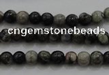 CTG264 15.5 inches 3mm round tiny grey opal gemstone beads