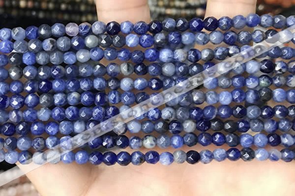 CTG3573 15.5 inches 4mm faceted round sodalite beads wholesale