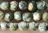 CTG3578 15.5 inches 4mm faceted round rhyolite beads wholesale