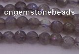 CTG509 15.5 inches 4mm faceted round tiny labradorite beads