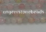 CTG551 15.5 inches 4mm faceted round tiny morganite beads