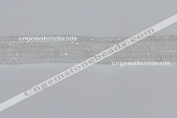 CTG604 15.5 inches 3mm faceted round white moonstone beads