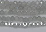 CTG613 15.5 inches 3mm faceted round labradorite beads