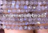 CTG700 15.5 inches 2mm faceted round tiny labradorite beads