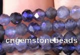 CTG754 15.5 inches 3mm faceted round tiny iolite gemstone beads