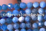 CTG760 15.5 inches 3mm faceted round tiny apatite gemstone beads