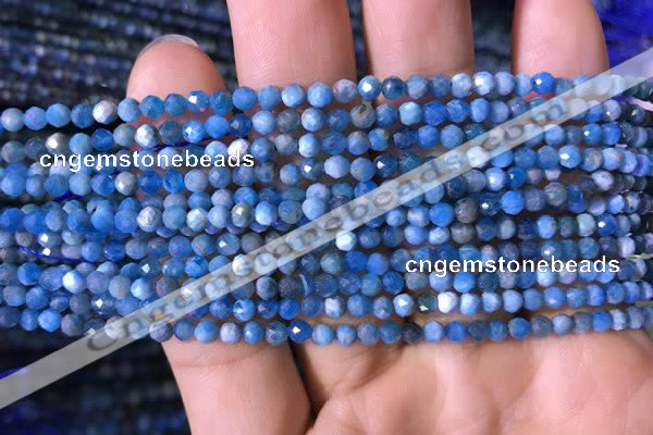 CTG760 15.5 inches 3mm faceted round tiny apatite gemstone beads