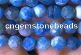 CTG762 15.5 inches 5mm faceted round tiny apatite gemstone beads