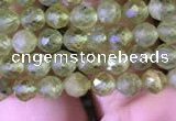 CTG813 15.5 inches 4mm faceted round tiny prehnite beads