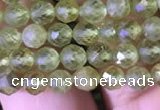 CTG814 15.5 inches 5mm faceted round tiny prehnite beads