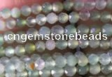 CTG821 15.5 inches 2mm faceted round tiny Australia chrysoprase beads