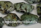 CTU2483 15.5 inches 12*18mm - 22*27mm freeform African turquoise beads