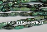 CTU486 15.5 inches 5*12mm rice African turquoise beads wholesale