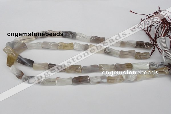 CTW123 15.5 inches 9*20mm twisted trihedron botswana agate beads